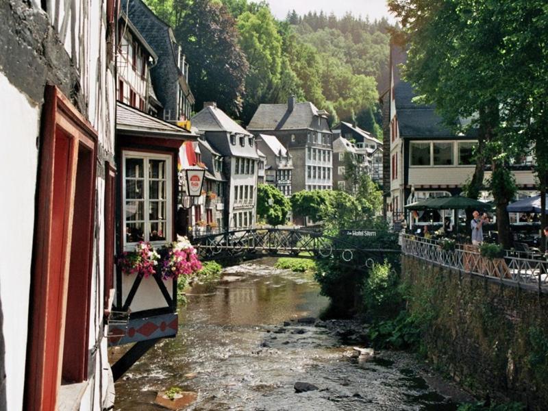 Waldhaus Anne Villa Nideggen Eksteriør billede